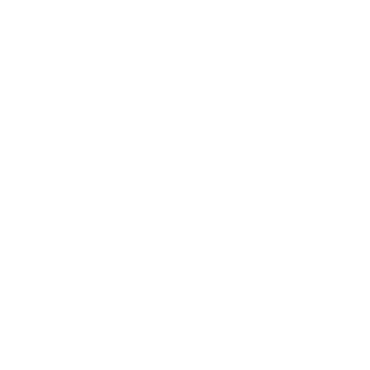 Visionary Group